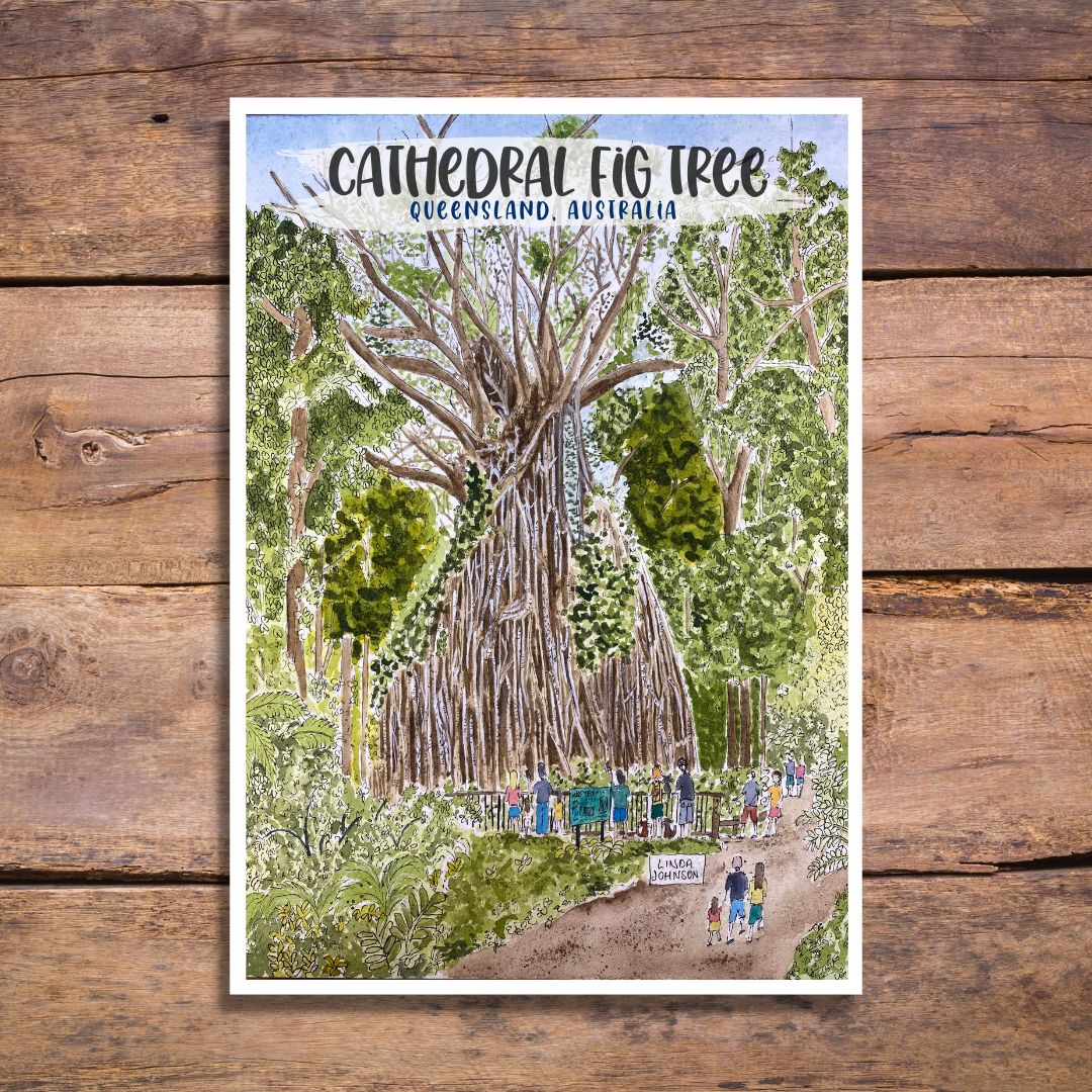 Cathedral Fig Tree Postcard