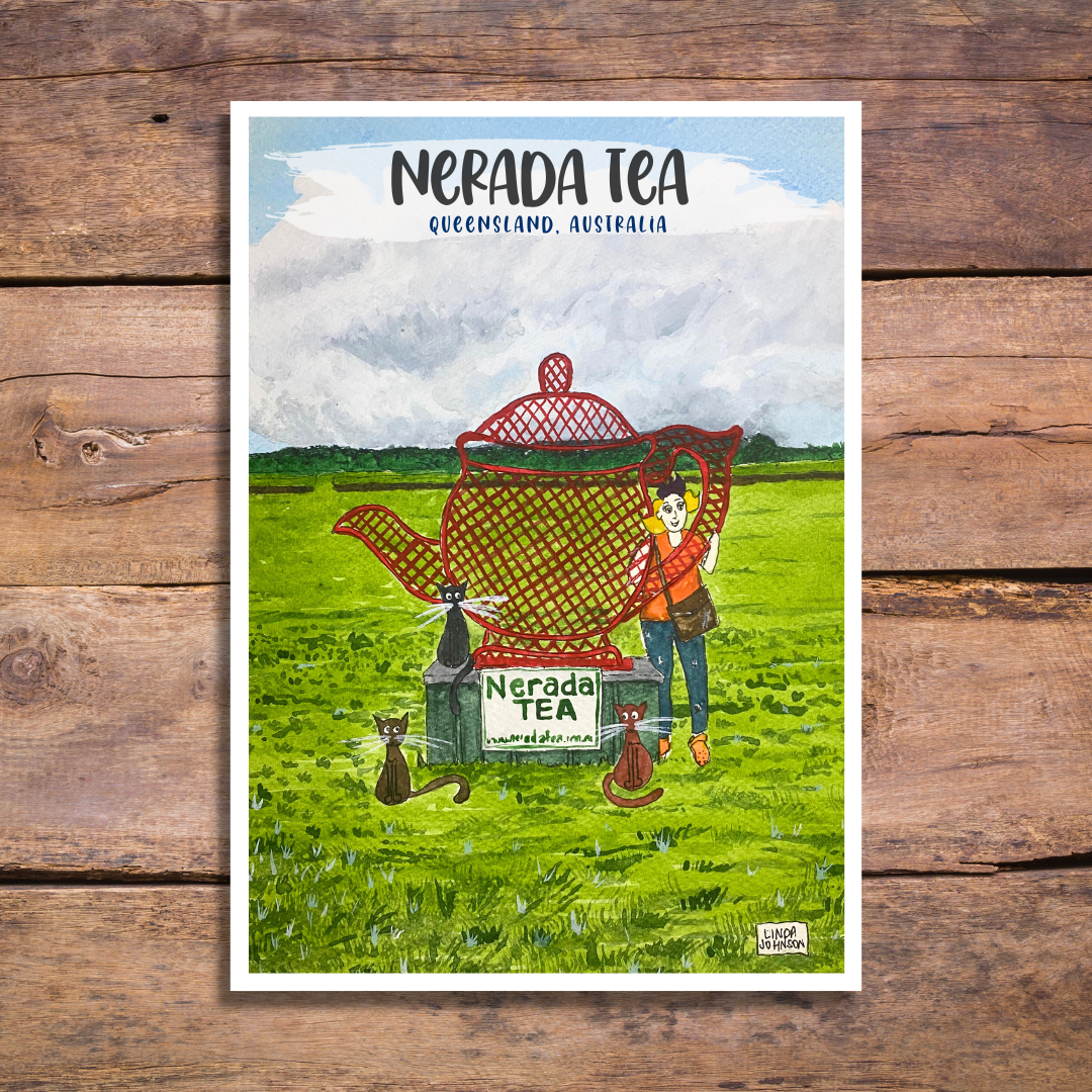 Nerada Tea Postcard