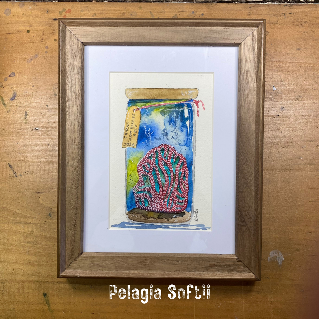 Pelagia Softii Coral Keepsake Painting
