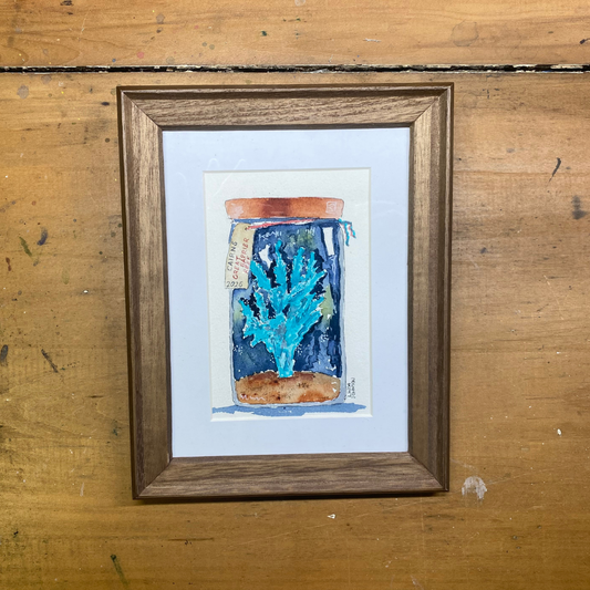 Coral Keepsakes: Taking a Piece of the Great Barrier Reef Home