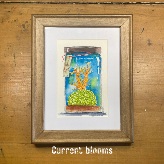 Current Blooms Coral Keepsake painting