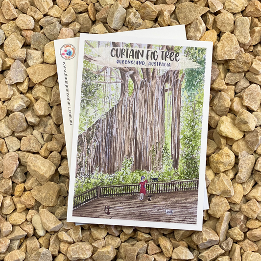 Curtain Fig National Park Postcard