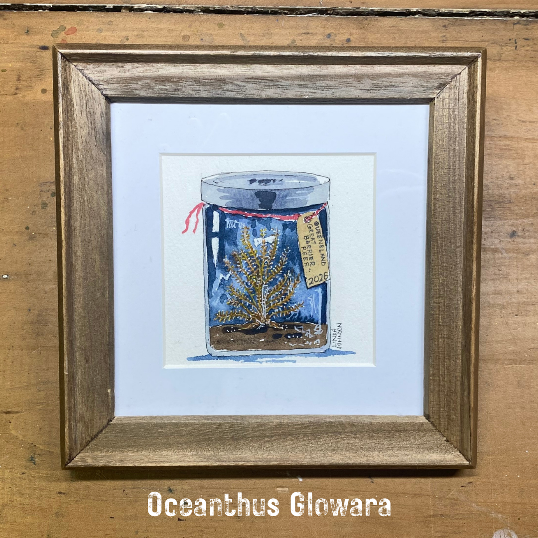 Oceanthus Glowara Coral Keepsake Painting